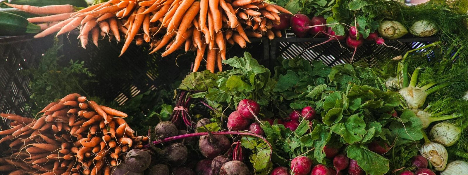 Kış Ayı Beslenme Rehberi