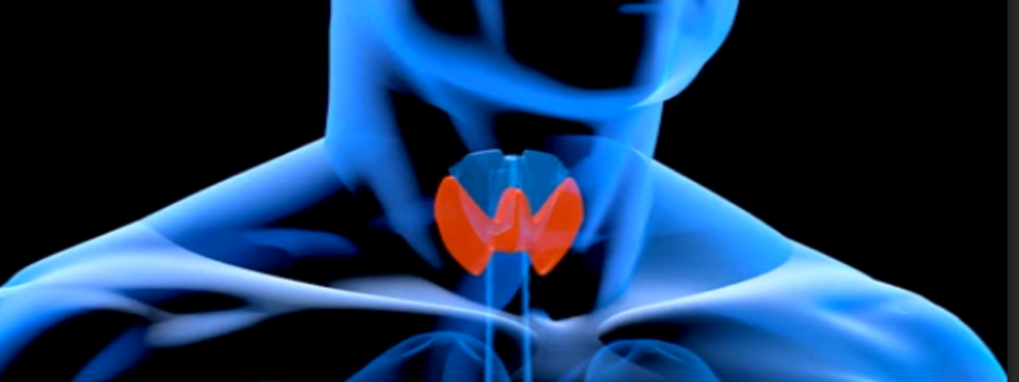 Tiroid Hastalarında Beslenme