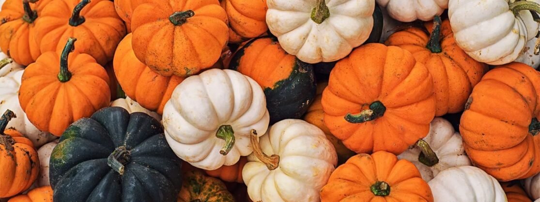 Balkabağının 5 Faydası