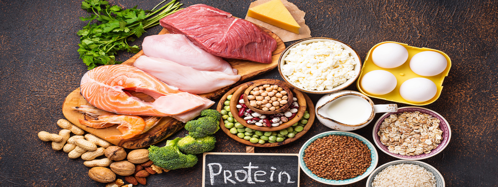 Protein Alımı